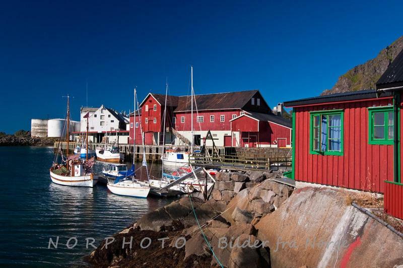 Lofoten Cabin And Kayak Rental Stamsund Extérieur photo