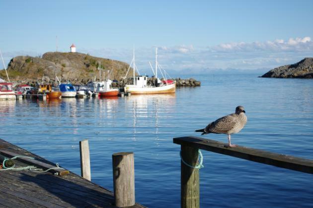 Lofoten Cabin And Kayak Rental Stamsund Extérieur photo